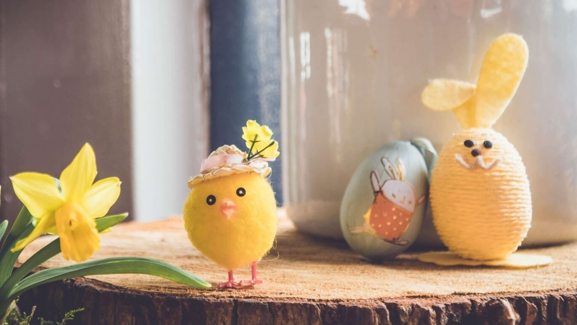 Sebastian staines nvyaqjezy  x www.clonmelparkhotel.wftnd.com