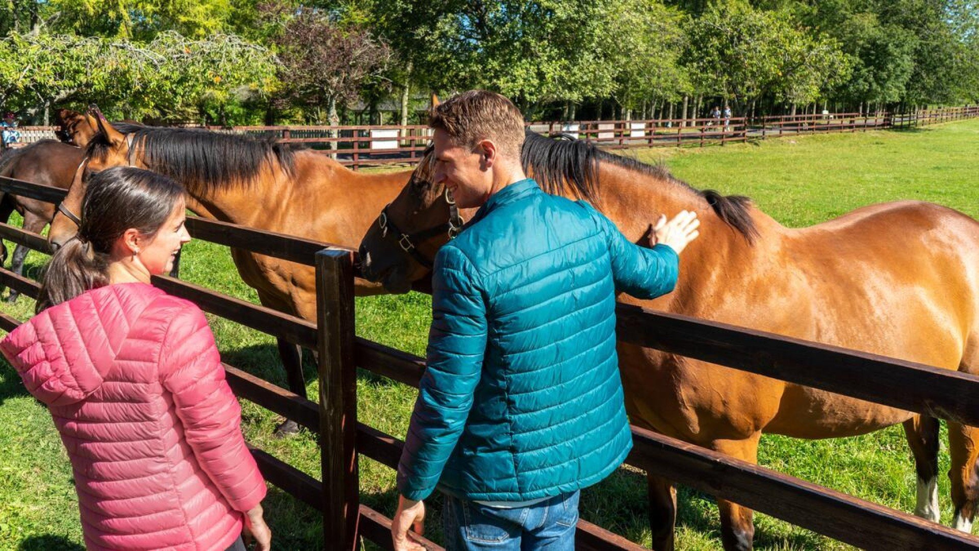 Irish national stud co kildare tito www.talbothotelclonmel.ie