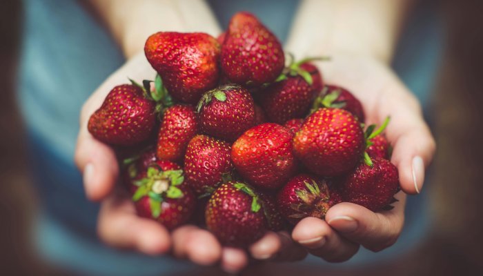 Strawberries talbot hotel clonmel