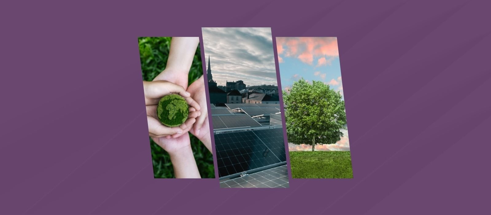 Ttc   sustainability featured   desktop www.talbothotelclonmel.ie