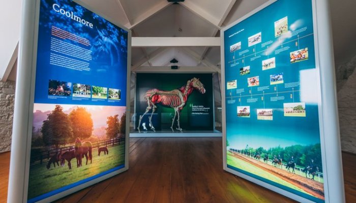 Fethard horse experience www.talbothotelclonmel.ie