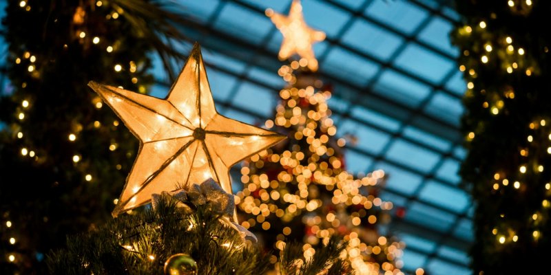 Resized star on christmas tree www.talbothotelclonmel.ie